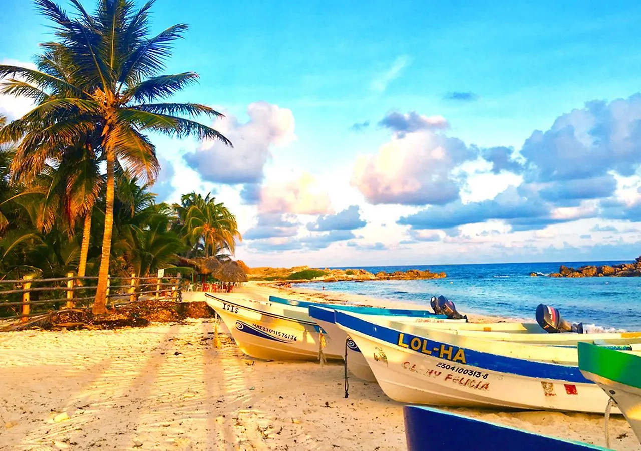 Myoli B&B. Playa Del Carmen, Mexico México