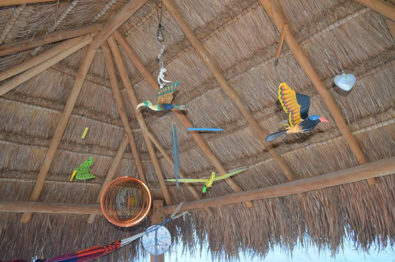 住宿加早餐酒店 Myoli B&B. Playa Del Carmen, Mexico