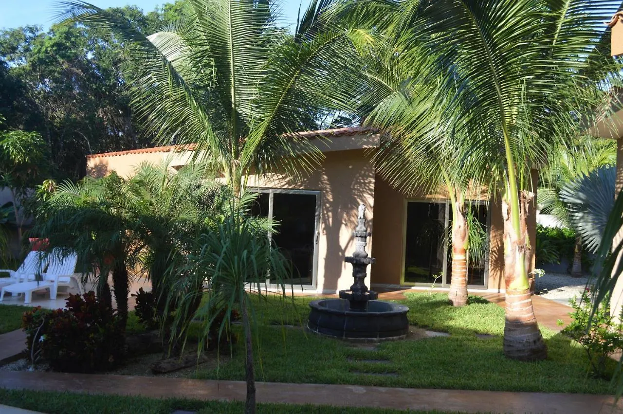 ** 住宿加早餐酒店 Myoli B&B. Playa Del Carmen, Mexico 墨西哥